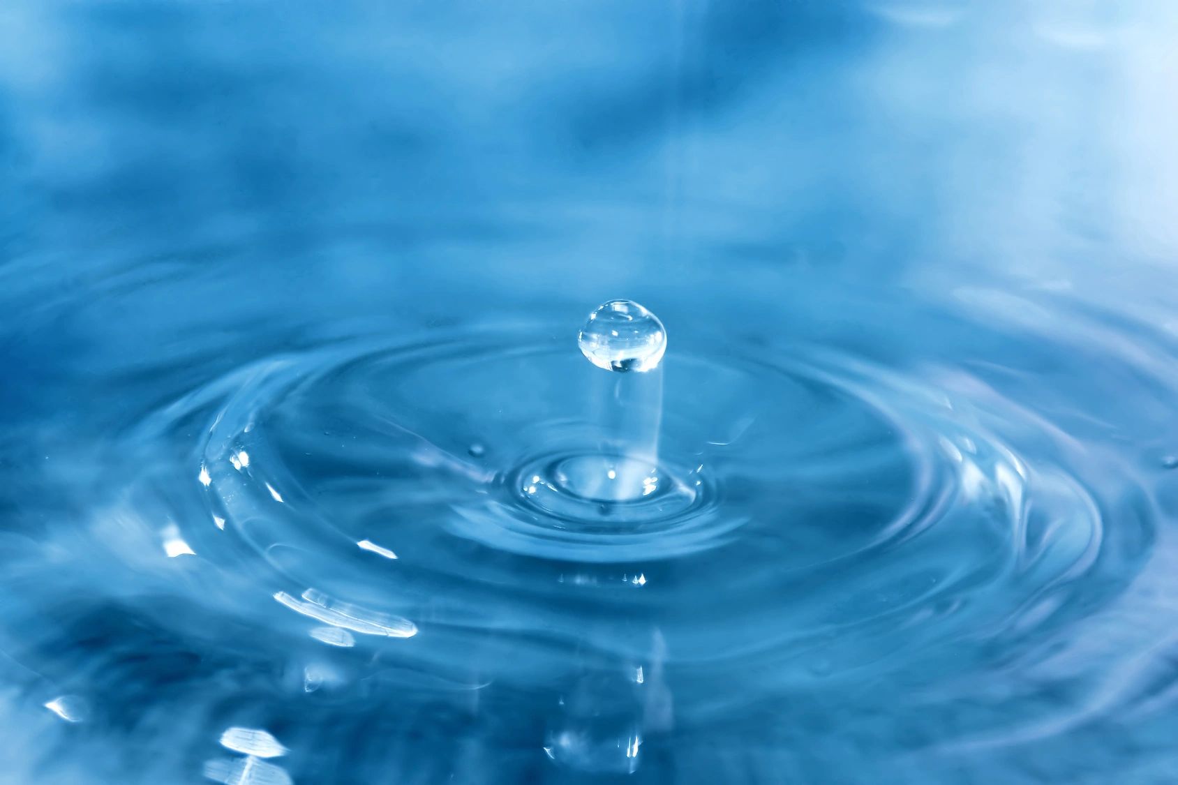 Project Engineering Services for Icon Water